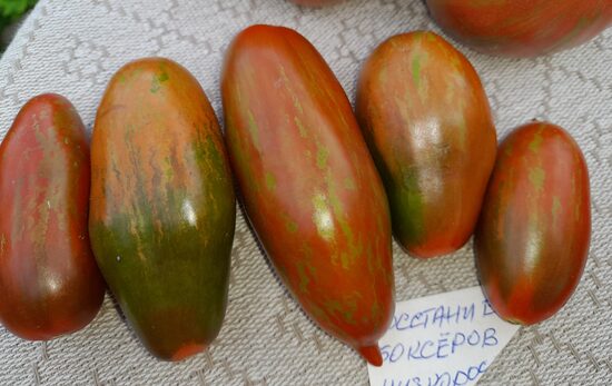 Гном Восстание Боксёров 